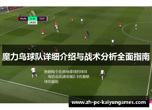 魔力鸟球队详细介绍与战术分析全面指南