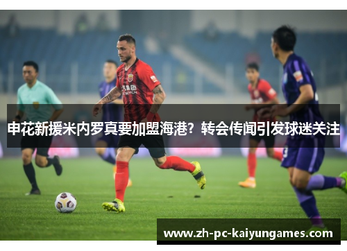 申花新援米内罗真要加盟海港？转会传闻引发球迷关注